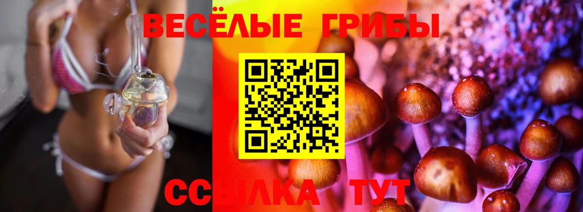Псилоцибиновые грибы ЛСД  Вход с VPN  Прокопьевск  Галлюциногенные грибы Cubensis 